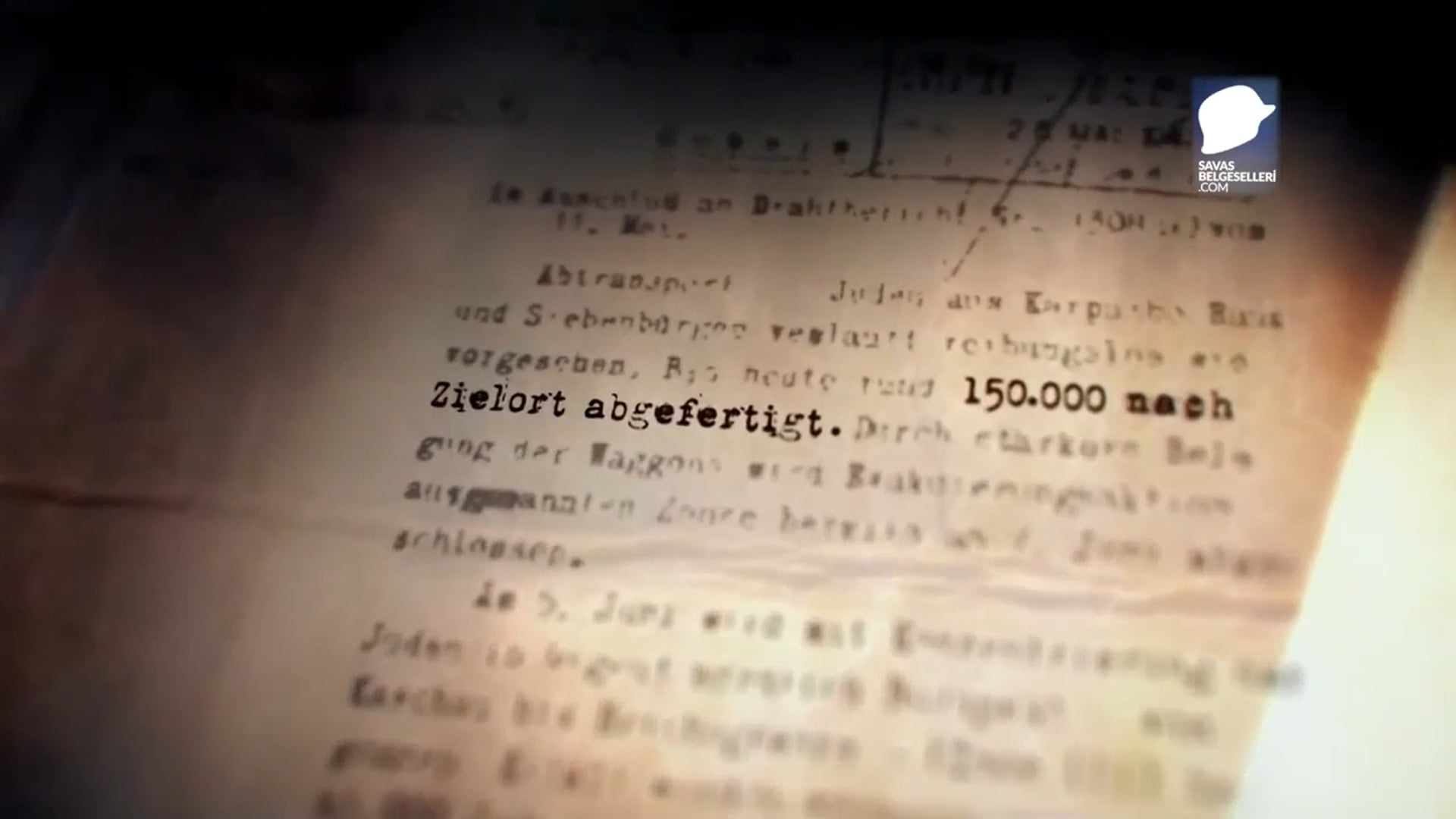 Auschwitz Bir Gün
