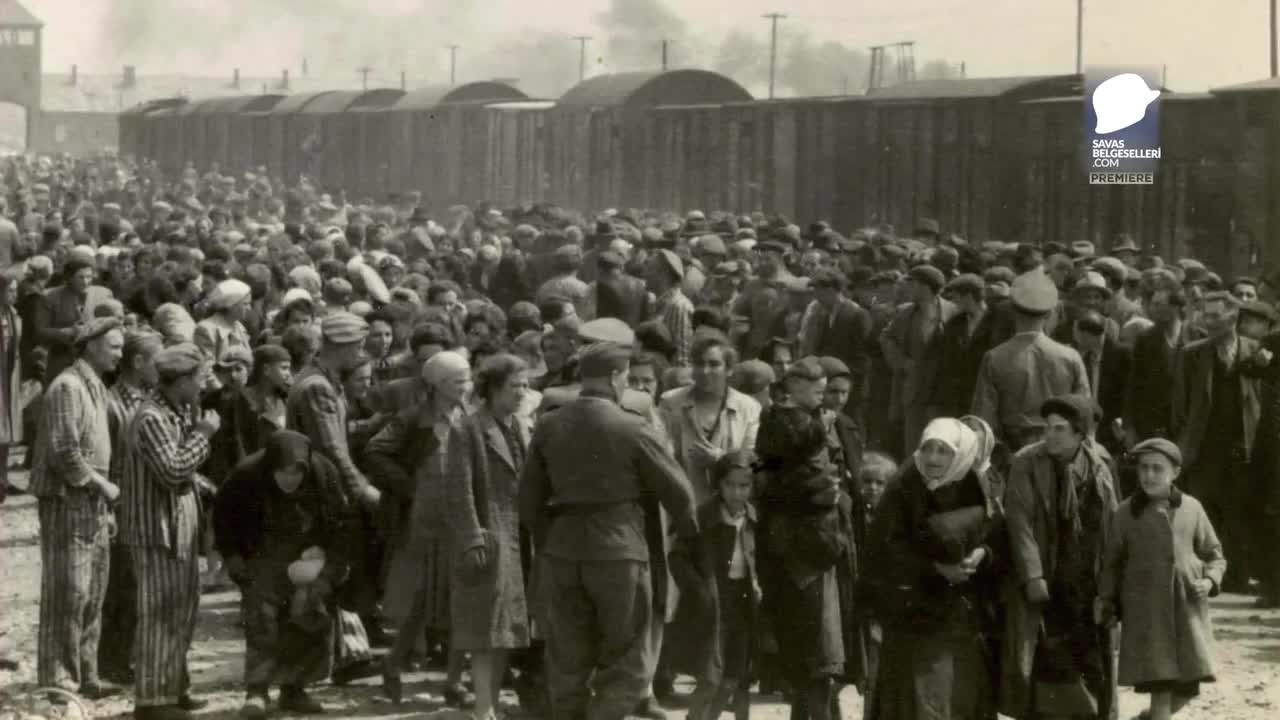 Auschwitzin Dövmecisi - Tanıtım