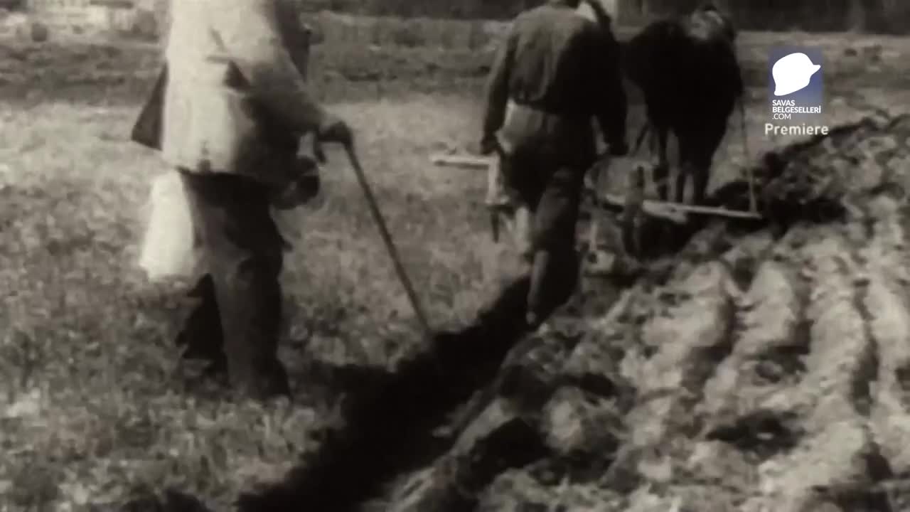 Dünya Savaşı 1914 1945 - Tanıtım