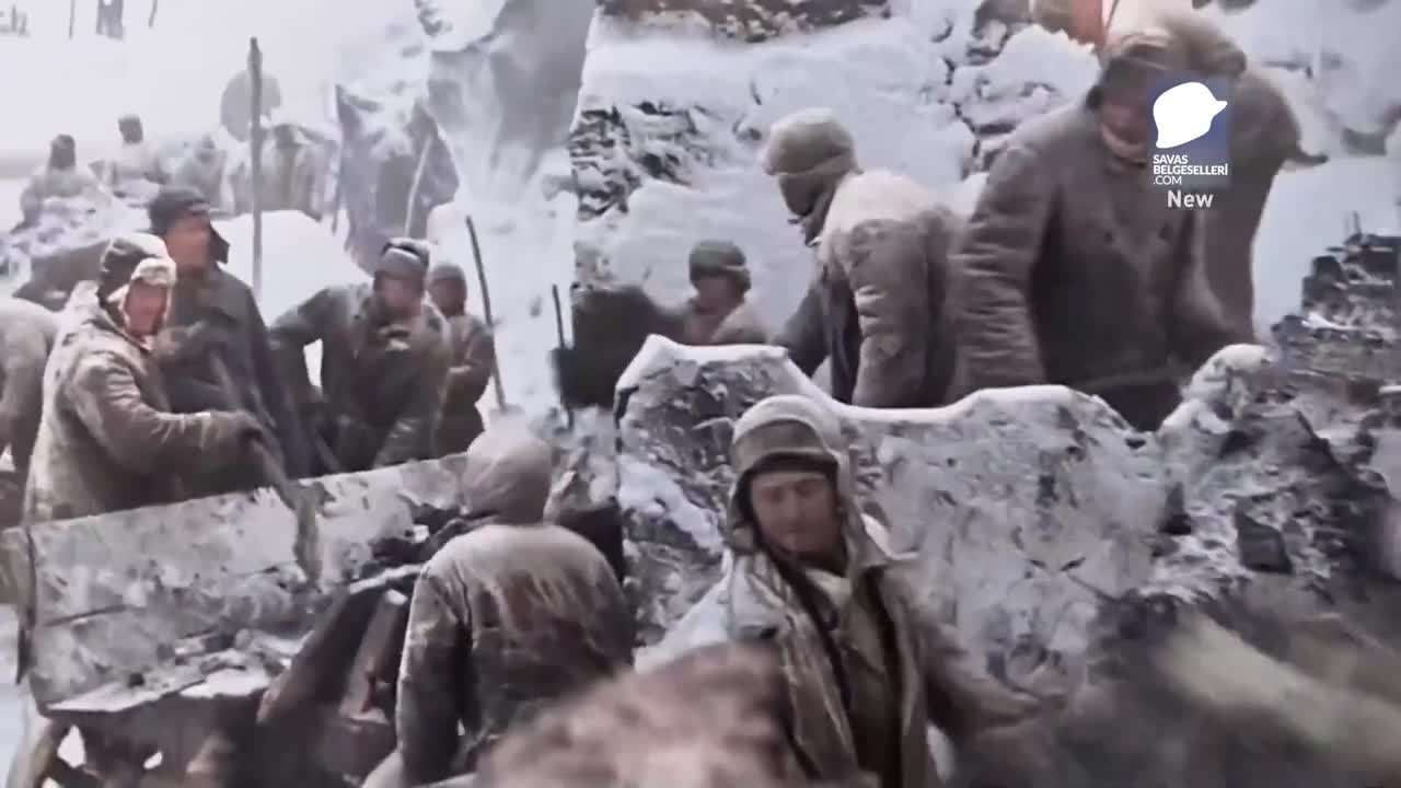 Hitler Staline Karşı