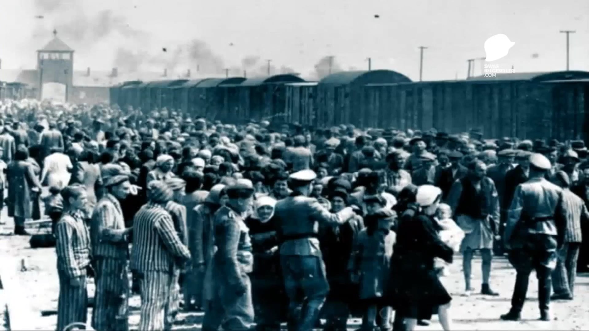 Nazi İkizlerinin Gizemi